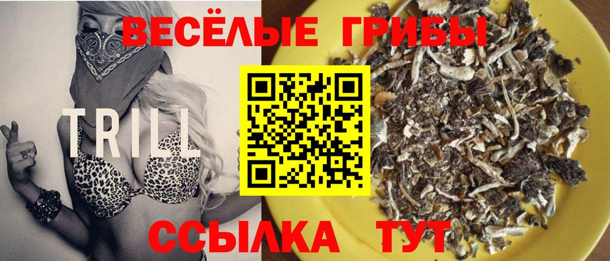 Псилоцибиновые грибы ЛСД Сосновый Бор